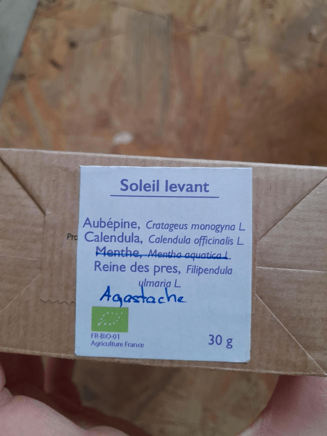 Soleil levant 