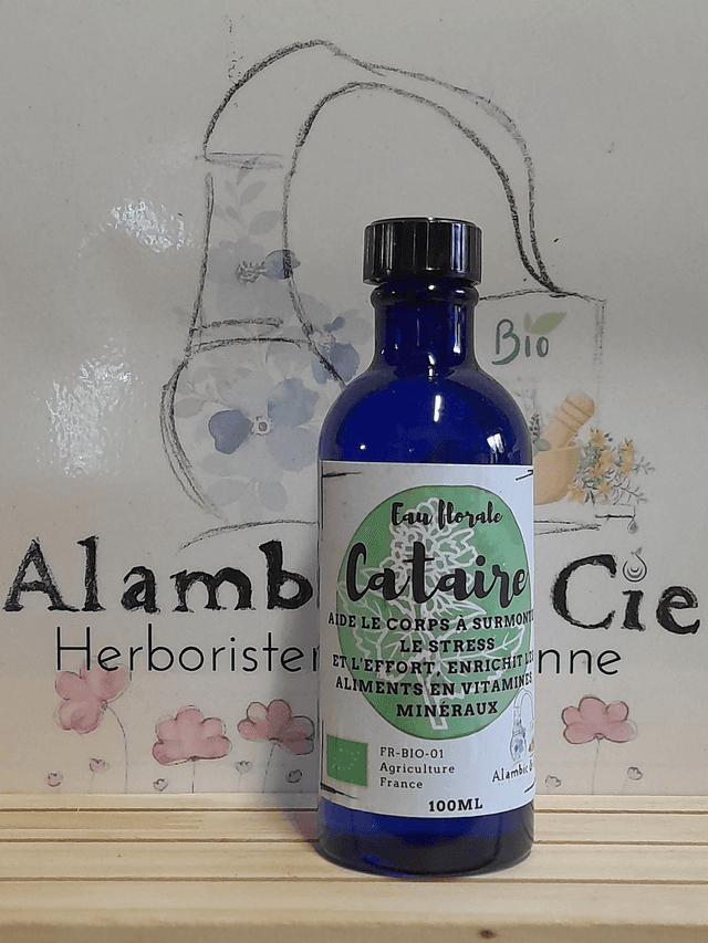 Cataire