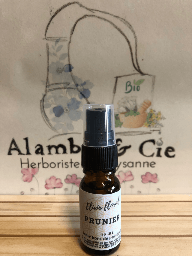 Prunier sauvage