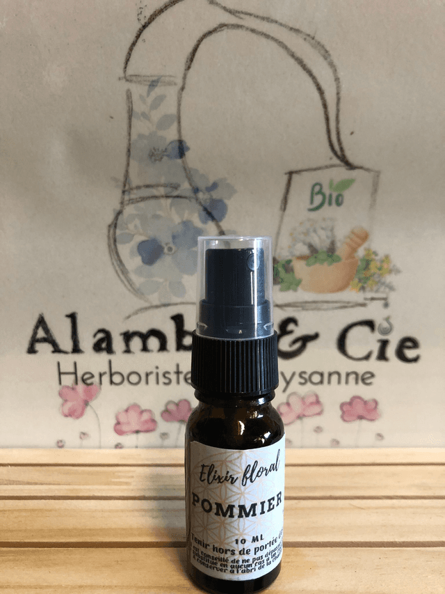 Pommier
