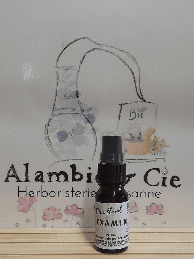 L&#039;examen