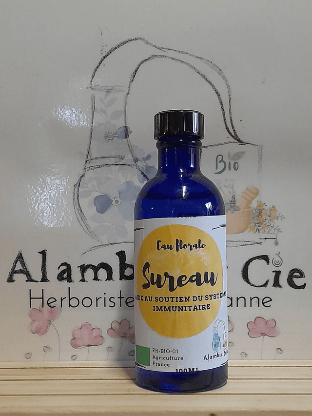 Sureau