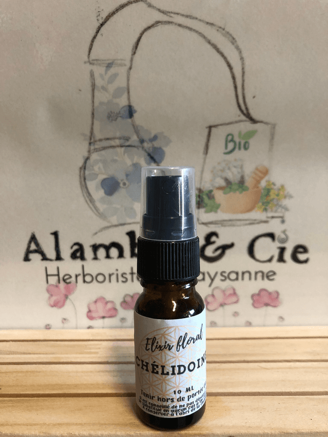 Chélidoine