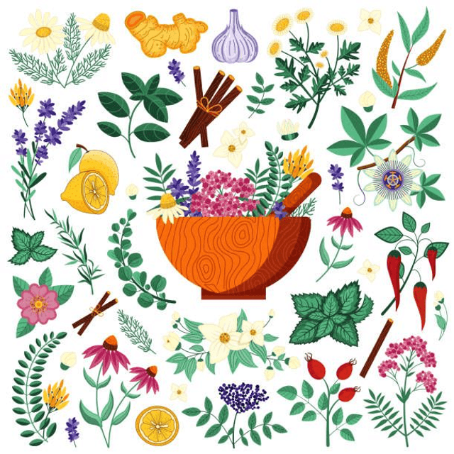 Fleurs comestibles