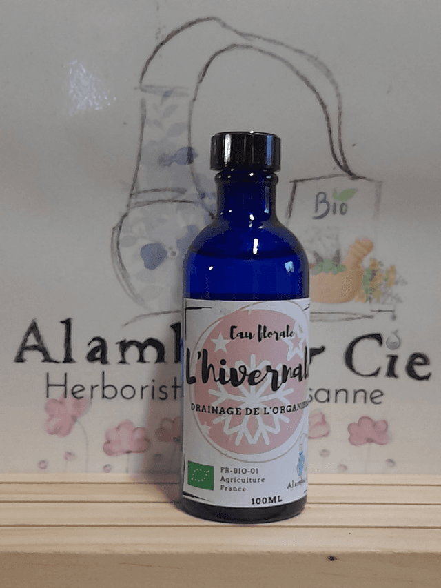 L&#039;hivernale